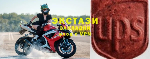 индика Белокуриха