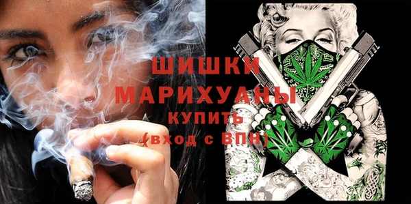 индика Белокуриха