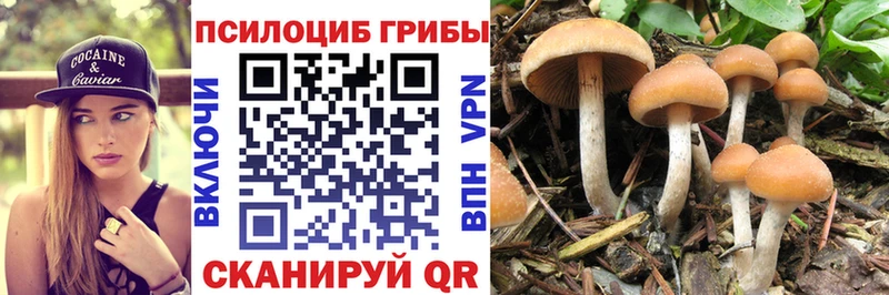 Галлюциногенные грибы MAGIC MUSHROOMS  Нефтекумск 